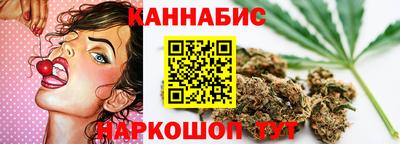spice Новодвинск